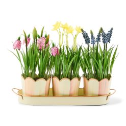 MACKENZIE-CHILDS Mackenzie-chilllds Rosy Stripe Triple Potted Blooms