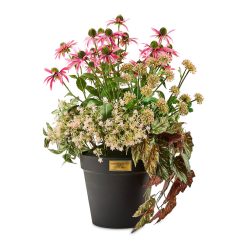MACKENZIE-CHILDS Mackenzie-chilllds Everlasting Pink Mix Urn Filler