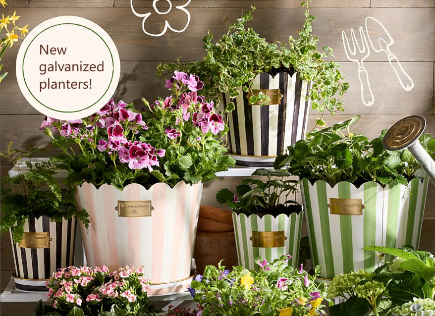 Outdoor Collection Mobile