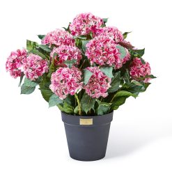 MACKENZIE-CHILDS Mackenzie-chilllds Pink Hydrangea Urn Filler