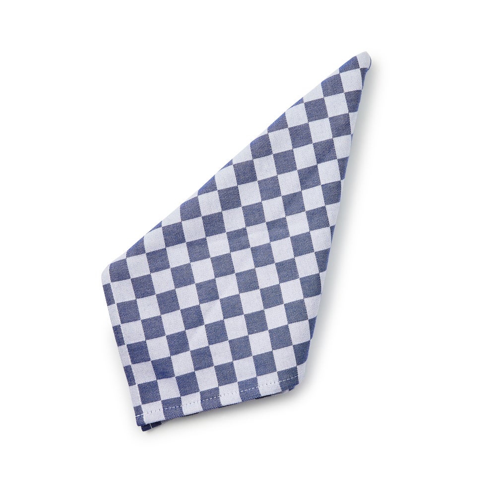 Check Woven Napkins, Set of 4 - Image 8