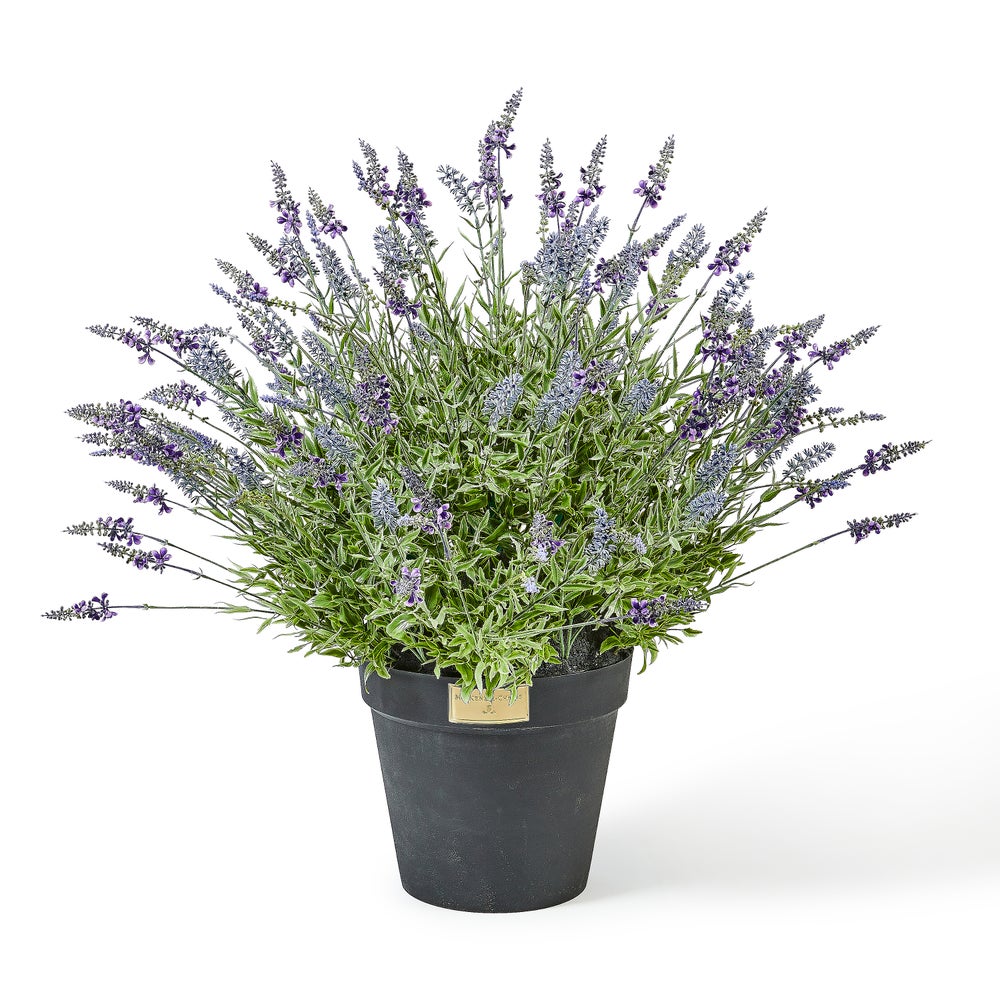 MACKENZIE-CHILDS Mackenzie-chilllds Lavender Urn Filler