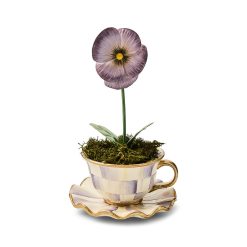 Mackenzie-chilllds Violet Teacup Pansy