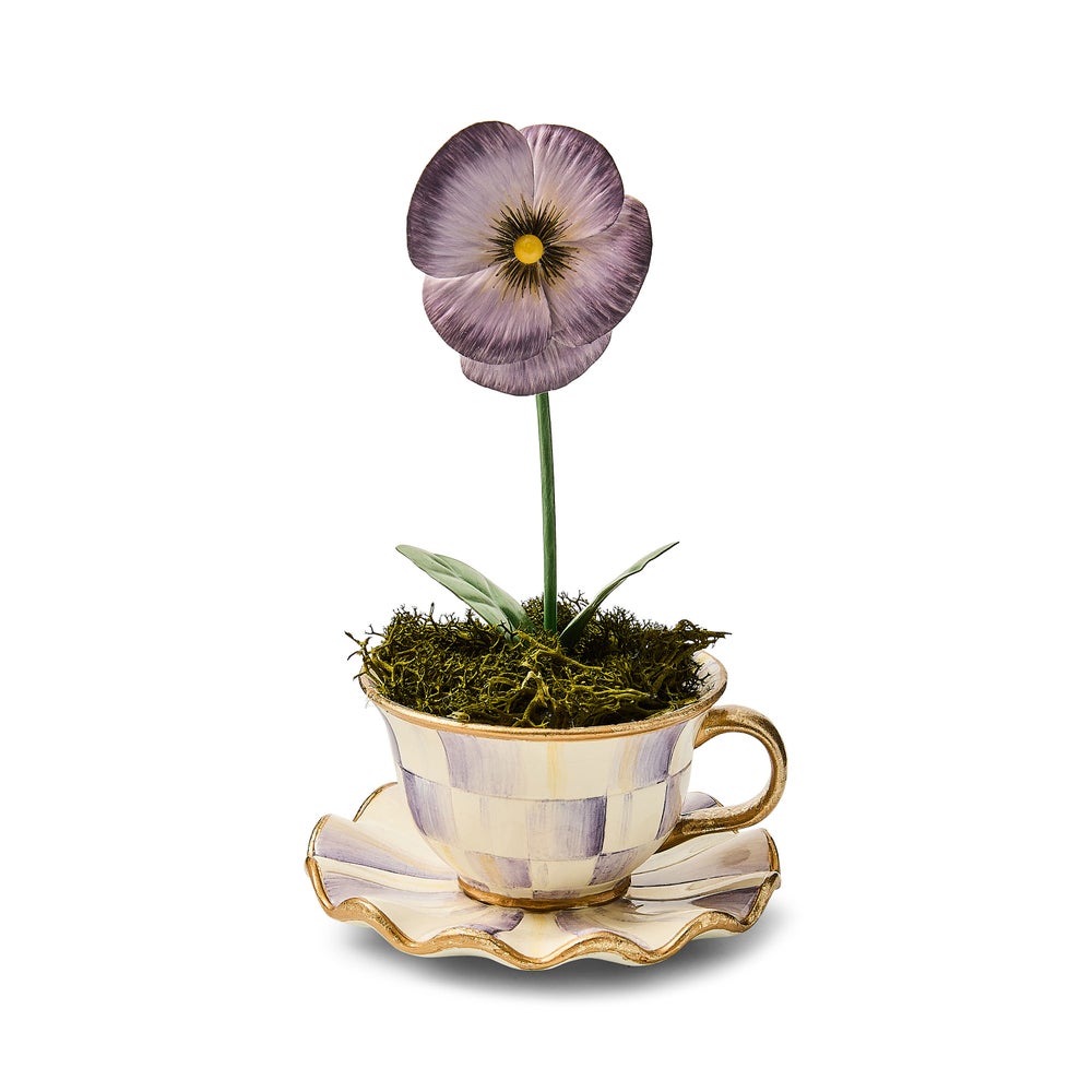 Mackenzie-chilllds Violet Teacup Pansy