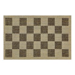 Checked Indoor/Outdoor Rug